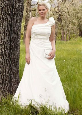 3 places to find cheap plus size wedding dresses 2 A-line Taffeta Gown with One Shoulder Detail