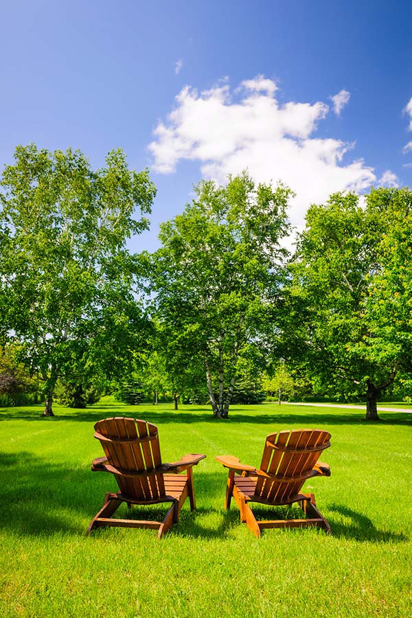 Image of big yard with chairs for a socially distanced party