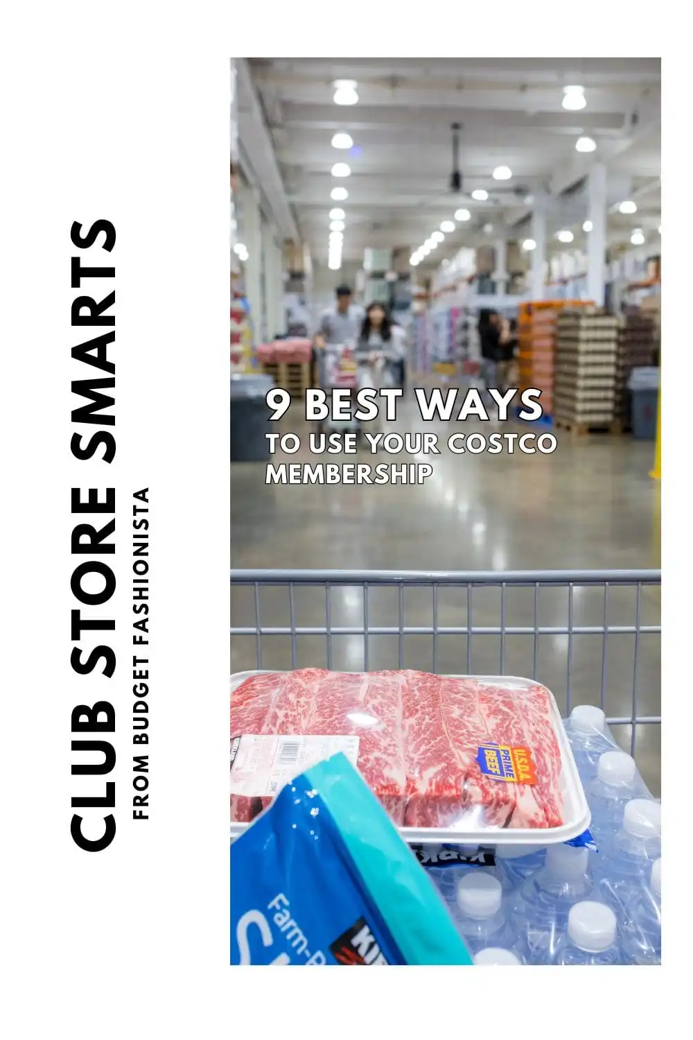 View from behind the shopping cart in a warehouse store like Costco with text overlay.